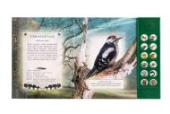 Zvuková knížka Ptáci našich lesů na baterie 22,5x21cm CZ text