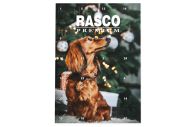  Adventní kalendář Rasco Premium pro psy 