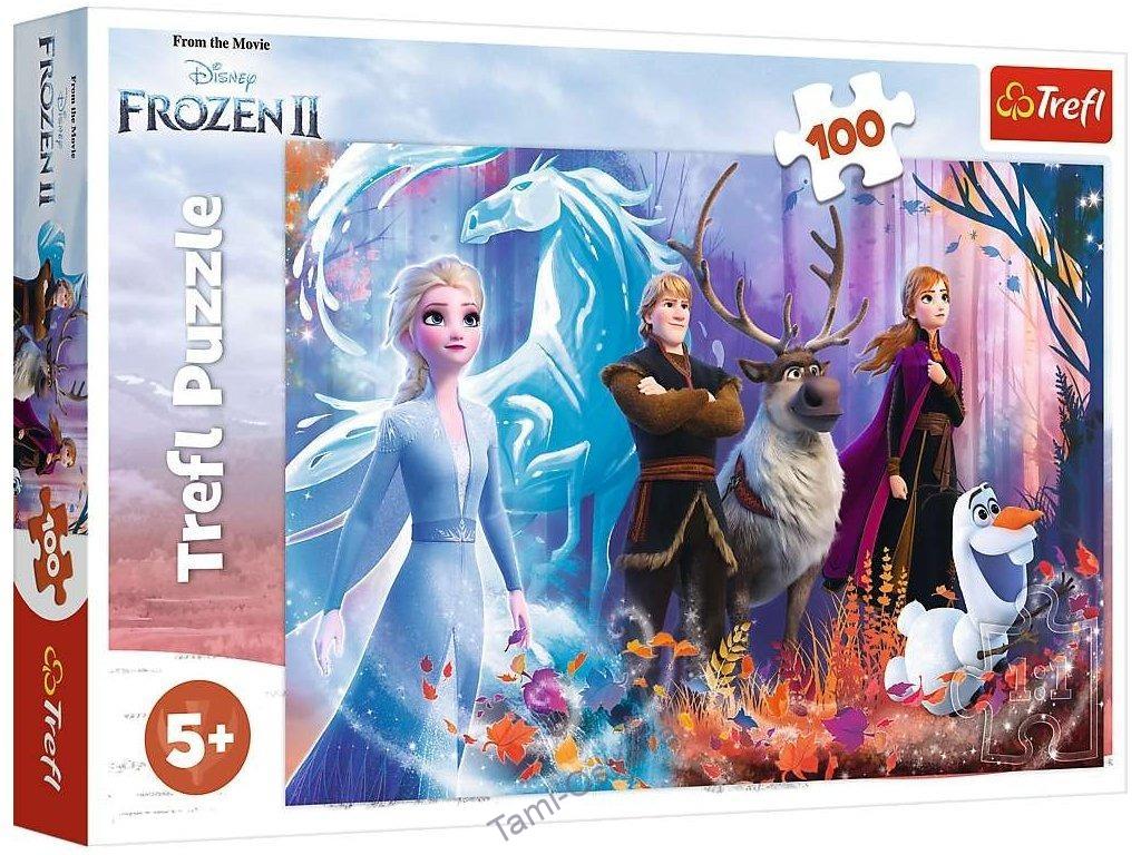 TREFL - Puzzle Ledové království 2: Mrazivá magie 100 dílků.